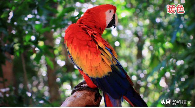 电视怎样调最佳图像,电视怎么调整显示比例