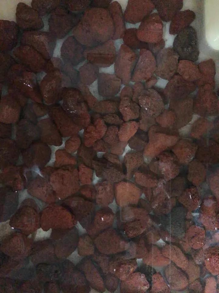 养鱼底滤滤材真的是越多越好吗,养鱼滤材怎么挑