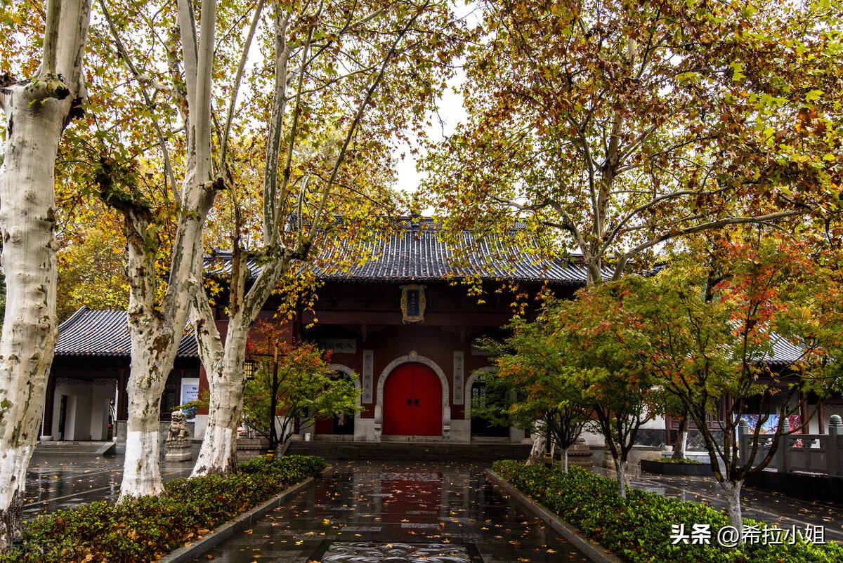 南京旅游攻略推荐几个好玩的景点,南京旅游必去的景点和攻略