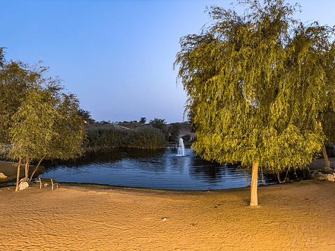 阿联酋丽思卡尔顿,阿联酋野奢帐篷