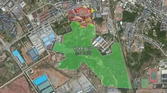 程浩胡鑫宇,胡鑫宇真相如何