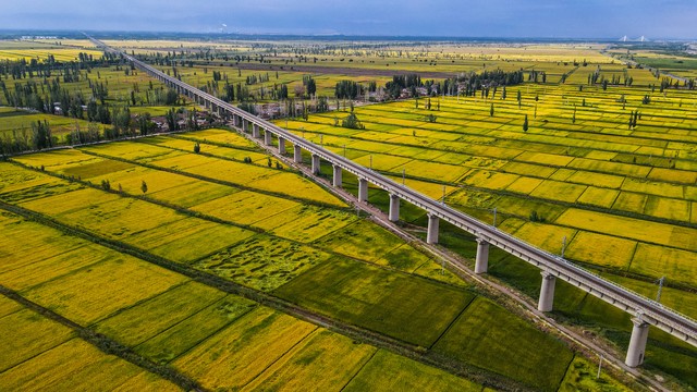高标准农田建设推动现代农业发展,国家为什么大力发展高标准农田