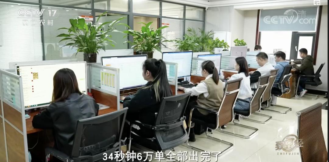 5万只鸡蛋一年能赚多少钱,一年卖1000万个鸡蛋