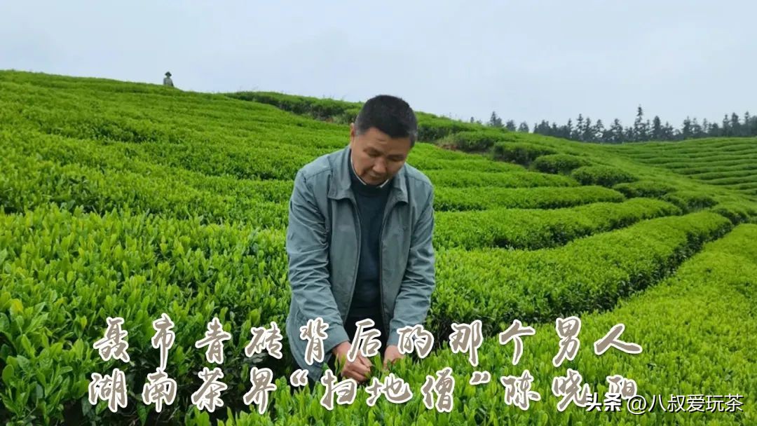 青砖茶为什么这么多,永巨青砖茶