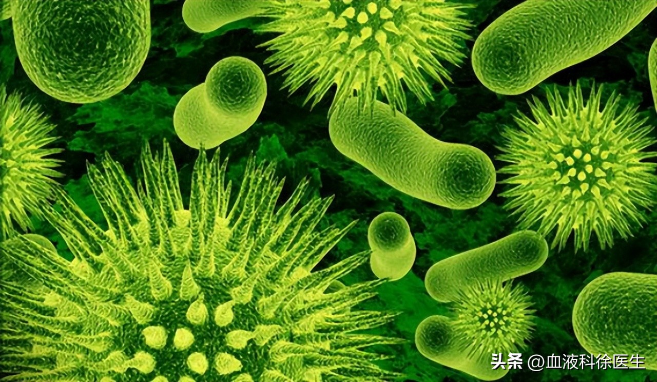 老年人不建议吃的零食,老年人不要太节约三种零食要多吃