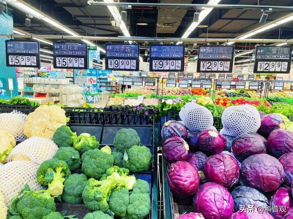 日本垄断中国市场百分之多少,打破西兰花种子垄断的原因