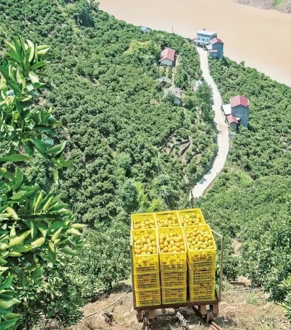 丘陵山地农机,山地丘陵专用农机设备