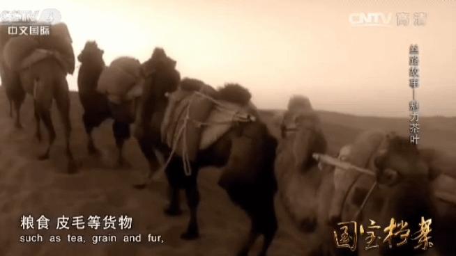 学习茶知识,学习茶知识有前景嘛