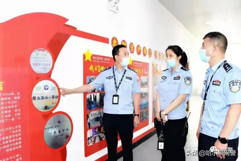 鍙屽鍙屾瘮,榛戦緳姹熺渷鍏畨绯荤粺鍙屽鍙屾瘮鍏稿瀷