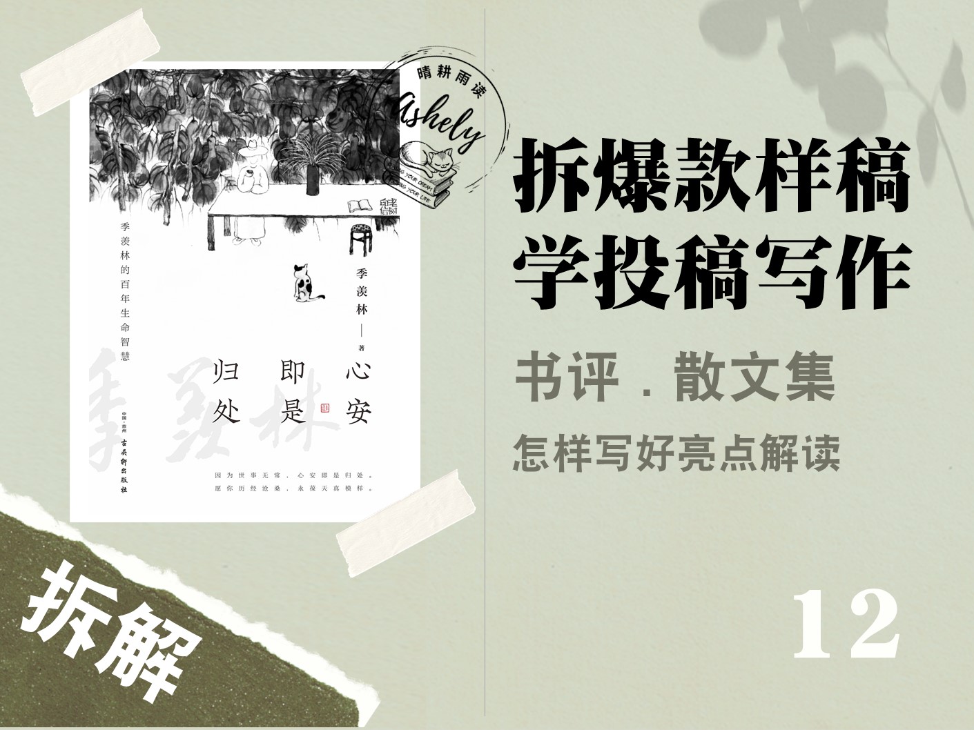 看10万+爆文拆解学写作，散文集的书评原来可以这样解读亮点