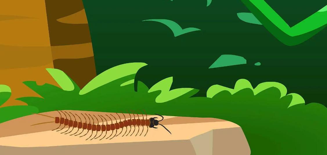 盘点全球剧毒的蜈蚣,中国海关查获巨大蜈蚣