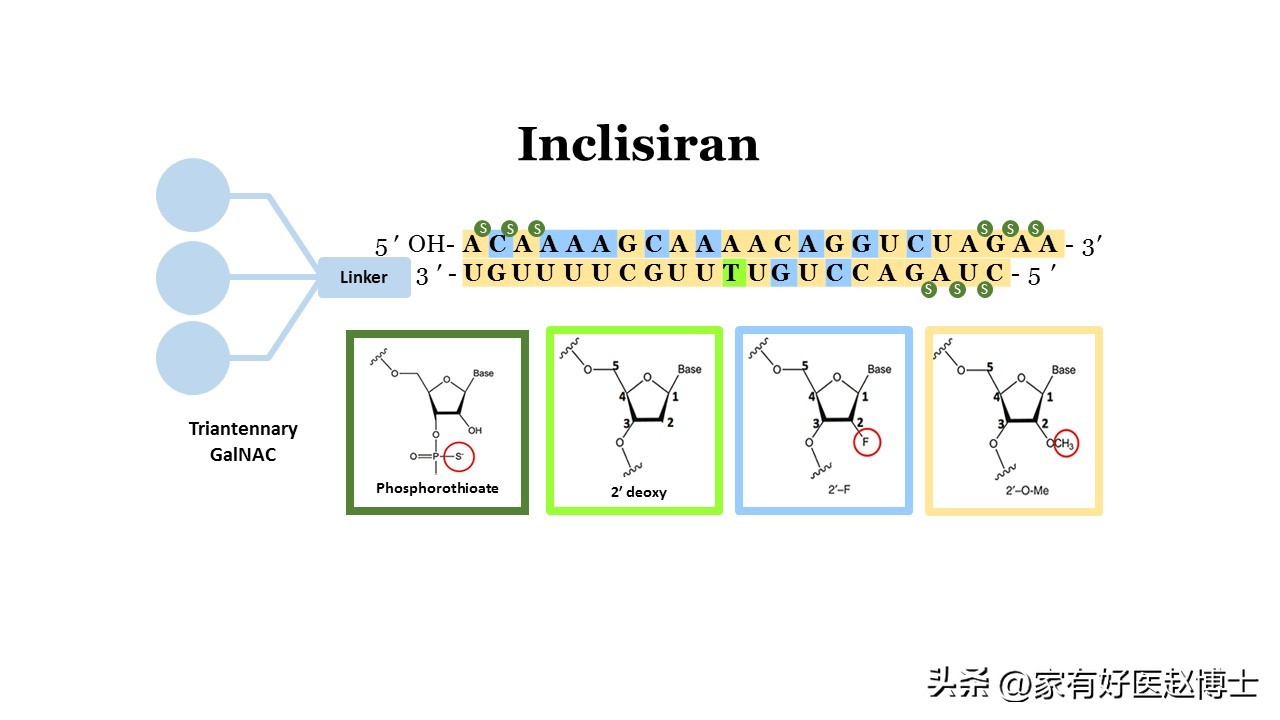 胆固醇多高需要吃他汀降脂药降脂,他汀类药降胆固醇又降脂吗