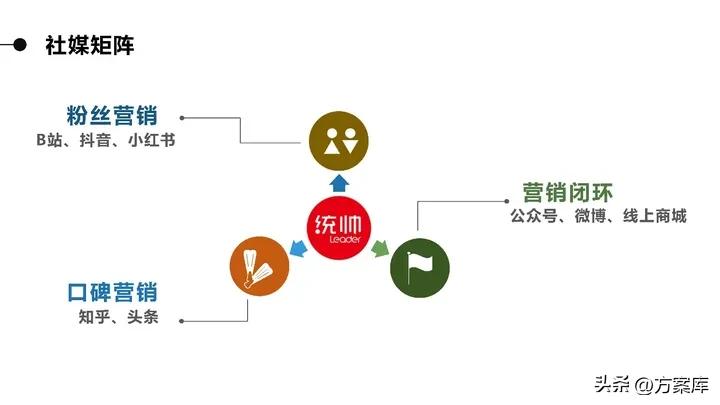 品牌系统营销方案,2020统帅品牌社会化营销策略提案
