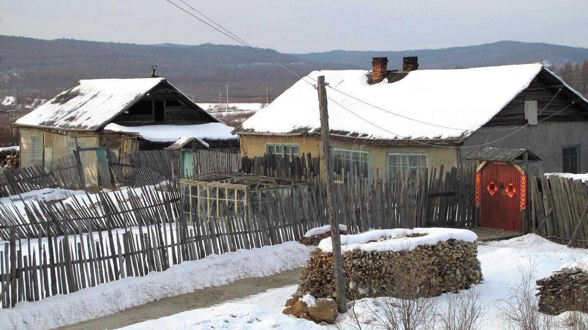 菊花散文优美段落,菊花短文阅读