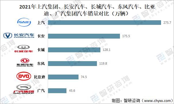 中国汽车企业分析,中国汽车产业发展报告2009