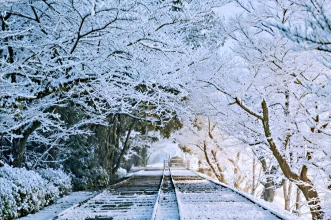 少数民族预科班通过的概率,高考少数民族预科班