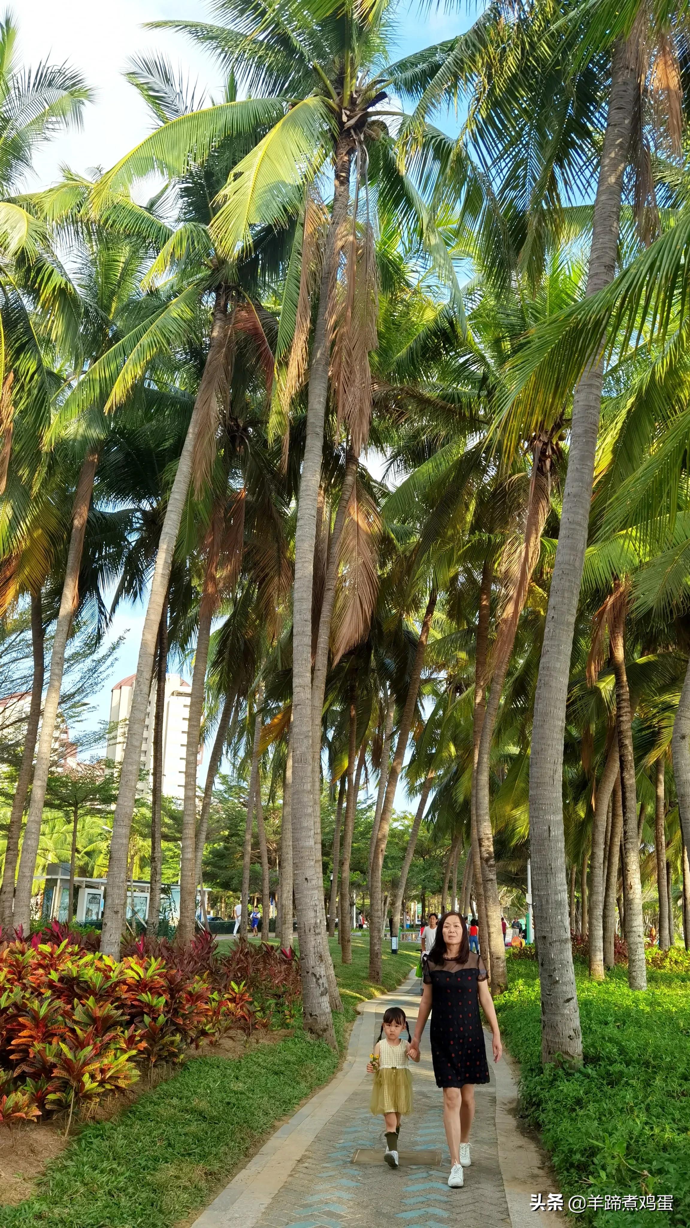 三亚椰梦长廊日落绝美,三亚湾椰梦长廊看夕阳最佳观赏点