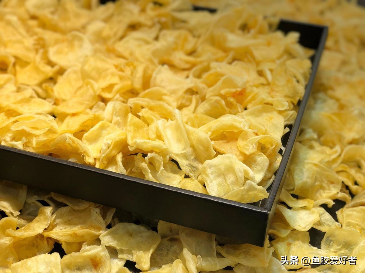 直播鱼胶攻略,直播间鱼胶推荐