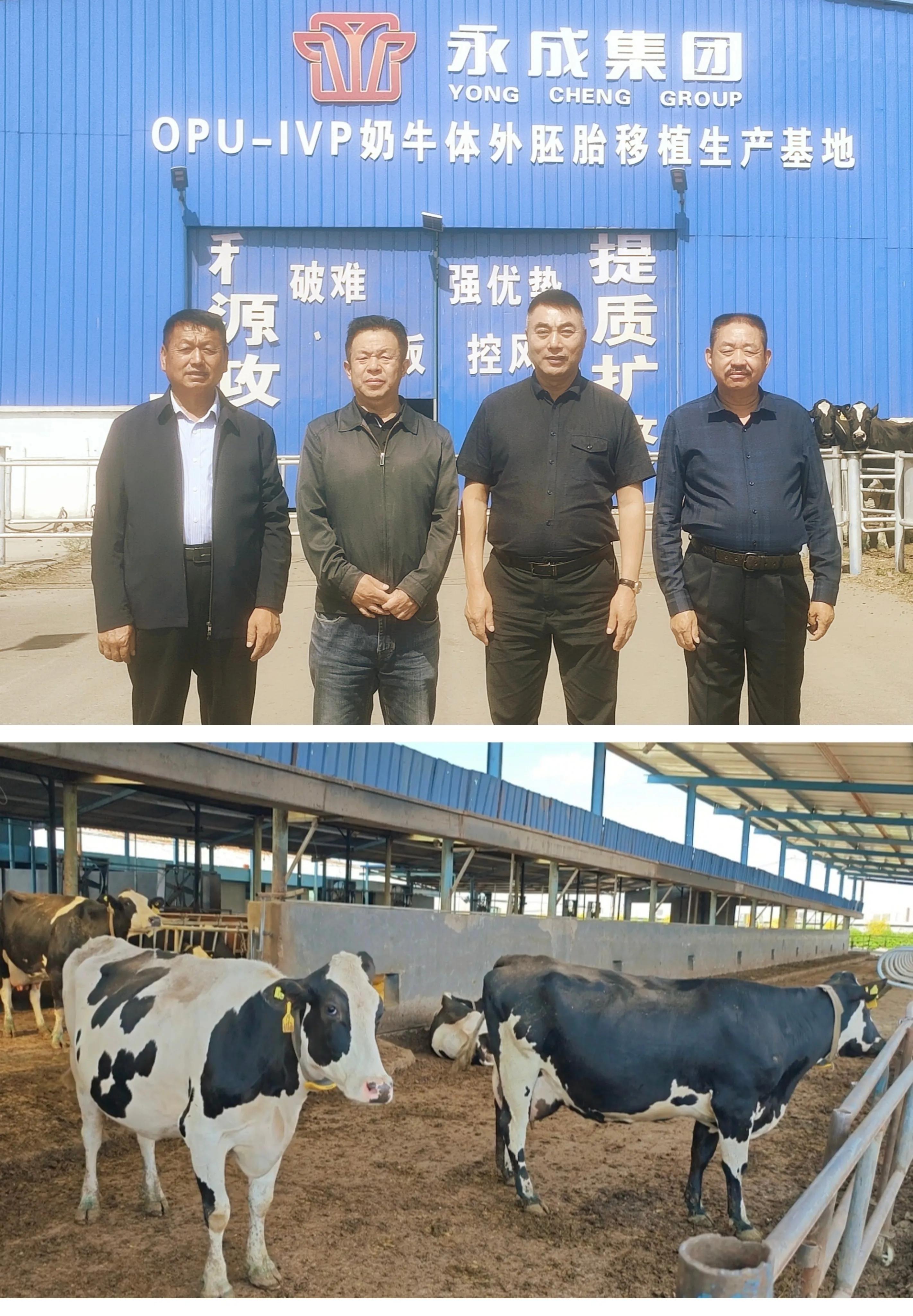 王殿辉山西,山西王殿辉