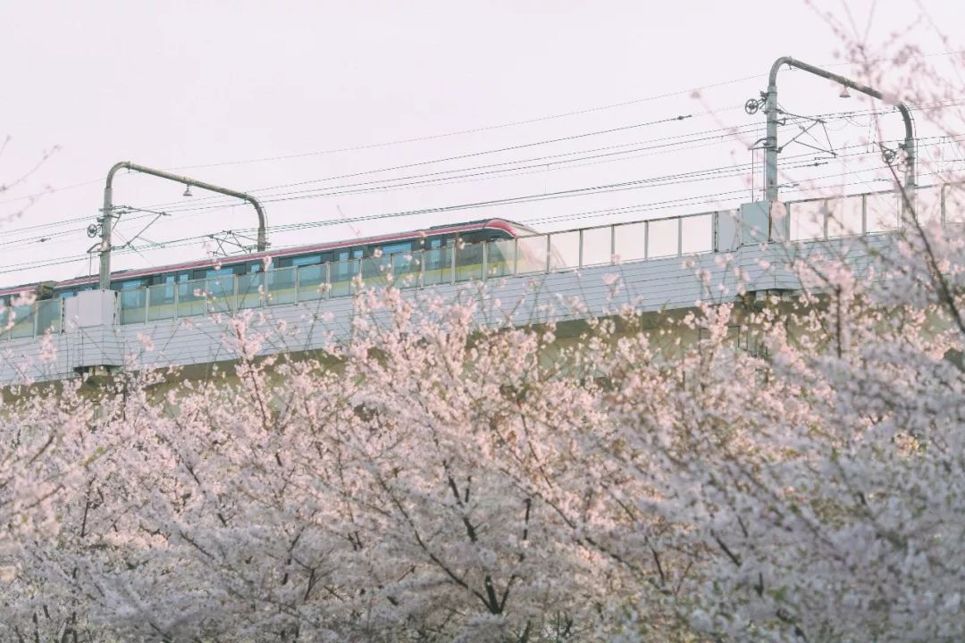 虹口体育场馆,虹口体育场旅游集散中心