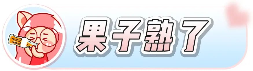 吨吨吨！这8款汽水我还能再喝亿瓶