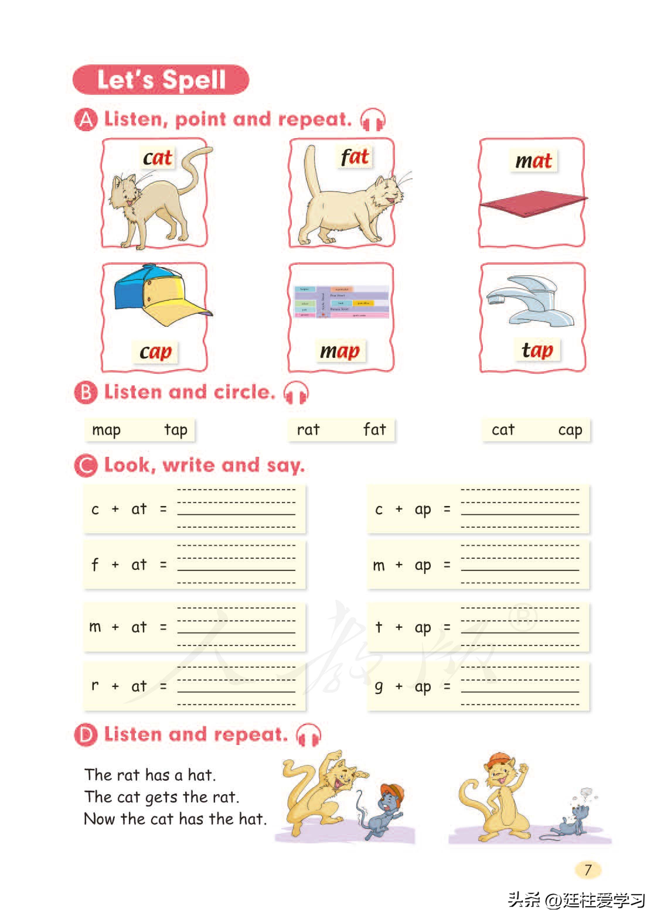 小学英语外研版三年级上册,小学英语精通版三年级上册