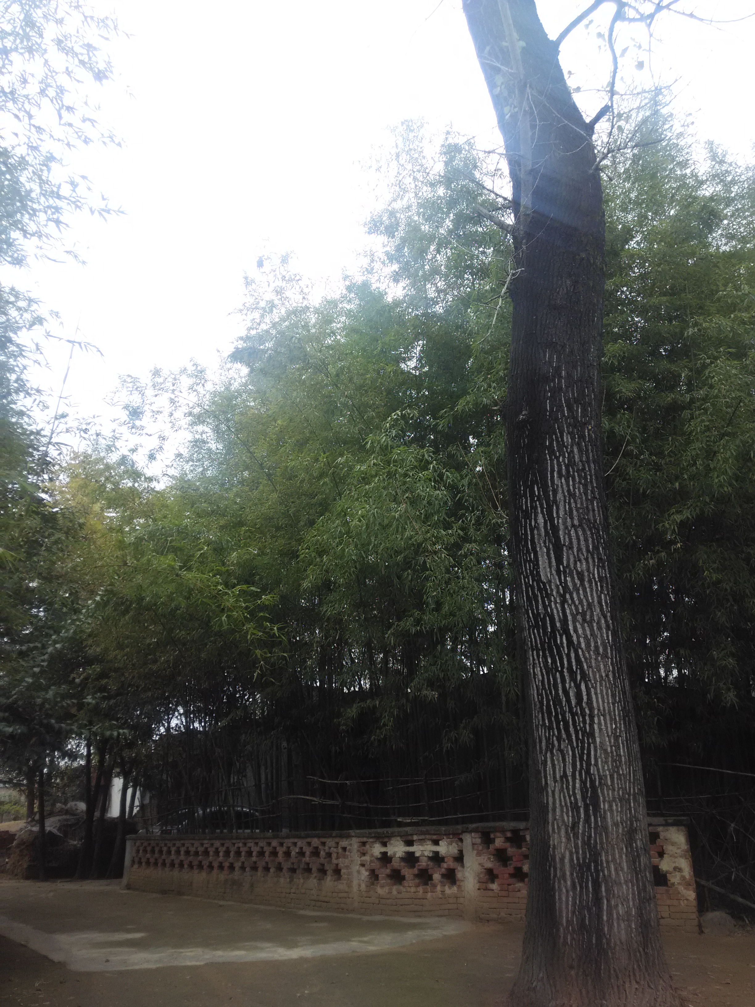 绿色城堡,绿色的城堡壁纸