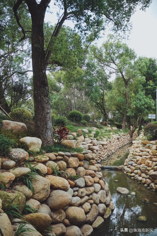 珠海十大最美古村落排名,珠海最美七大古村落