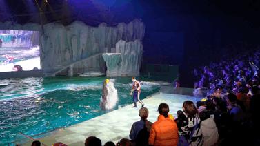 大无语事件！268元买了哈尔滨极地公园亲子票，被路人追着问了三条街！