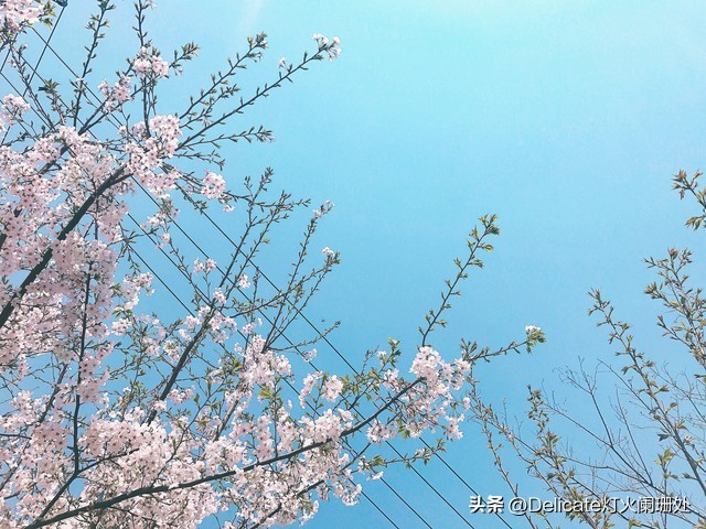 《但是还有书籍》免费观看,《但是还有书籍》第一季纪录片