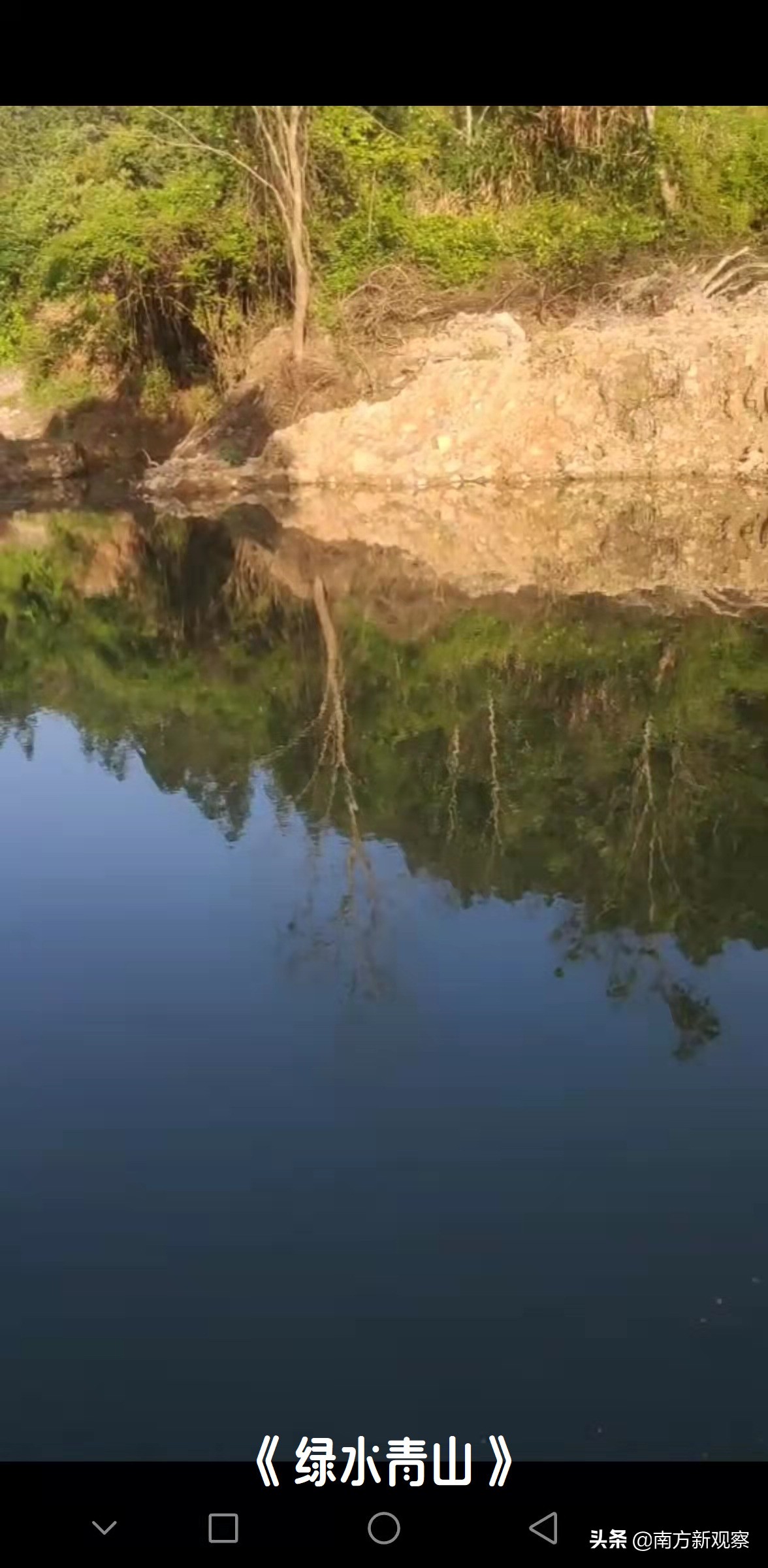 陈日光作品,陈日光