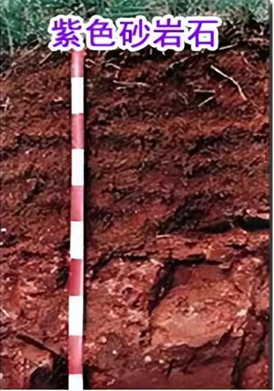 赖茅酒97年香港回归纪念版多少钱,97年赖茅酒庆香港回归特制2斤