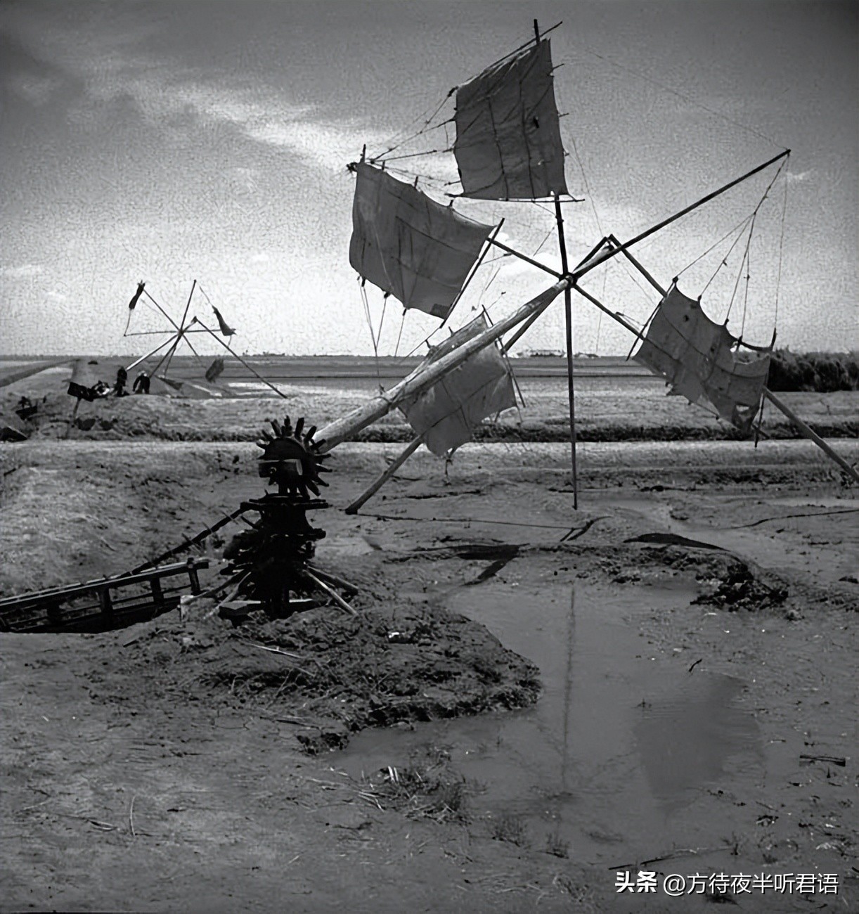 殊异之城：金石声穿过岁月的青岛留影