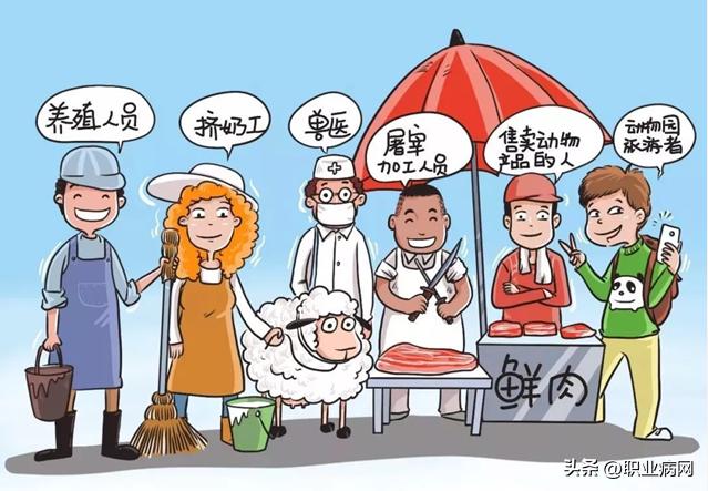 职业卫生科普,布鲁氏菌病属于职业病吗