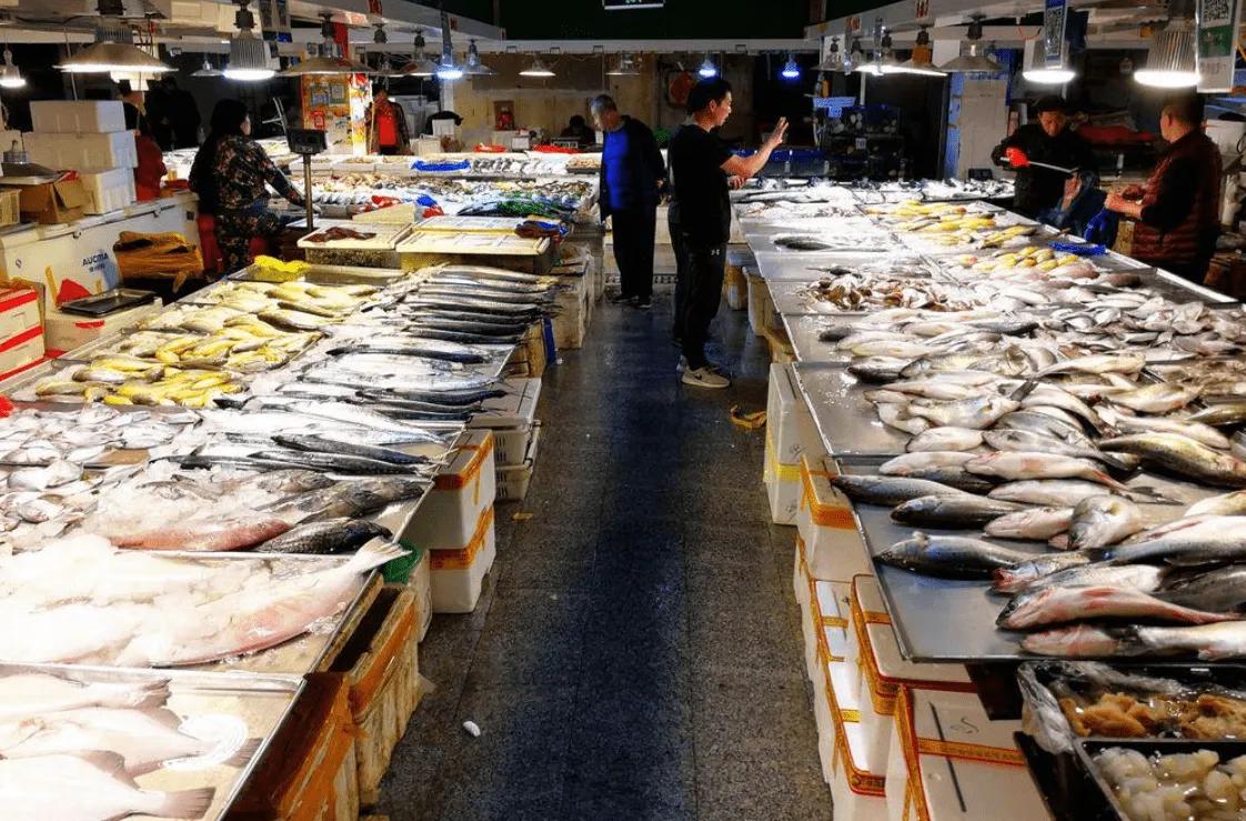 100种常见海鱼大全,常吃的海鱼图片及介绍