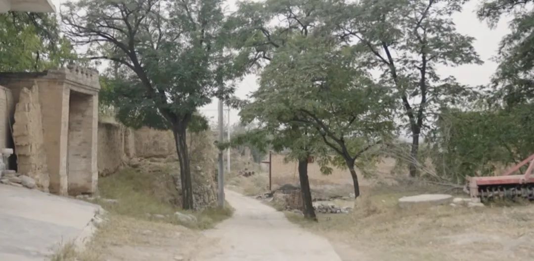 53岁阿姨拍了个网红村,12分钟彻底出圈,怎么就火了?