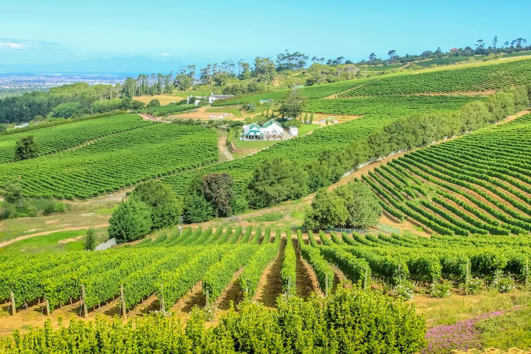 南非旅游途中的酒庄分布图,去南非哪里玩