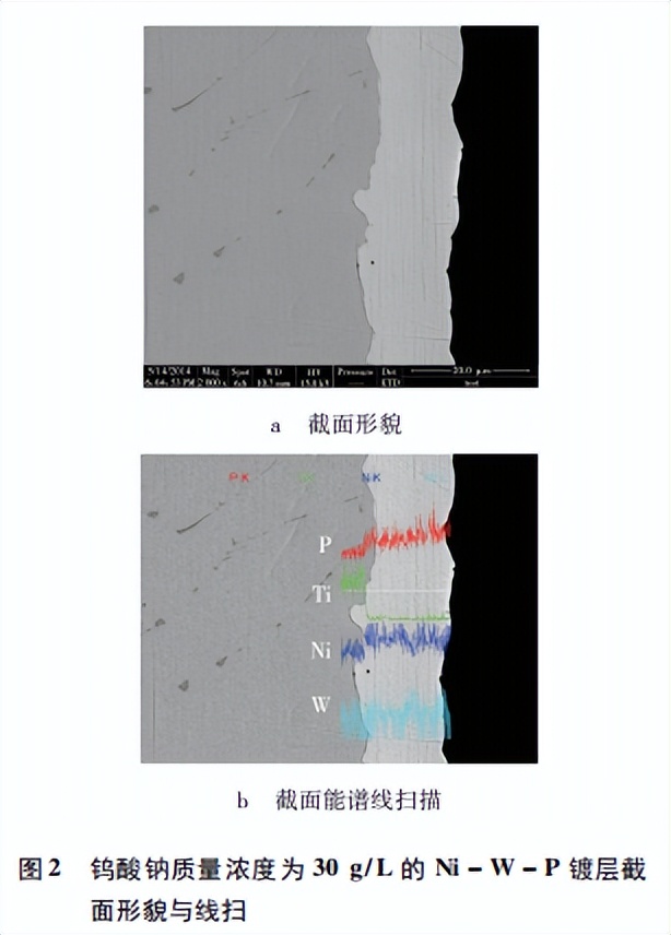 钨酸钠对Ti－Ni合金Ni－W－P化学镀层组织性能的影响