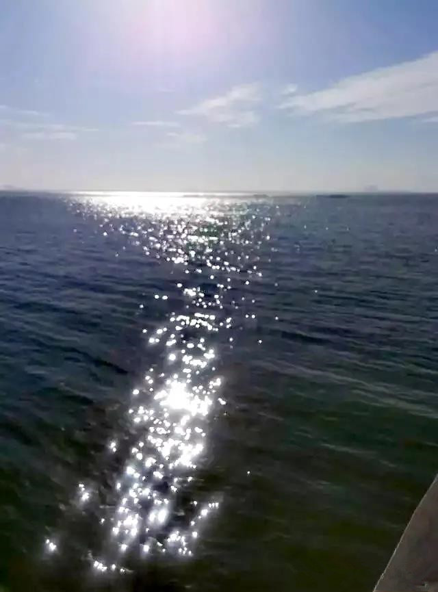 郭小川团泊洼的秋天,团泊洼的秋天读后感