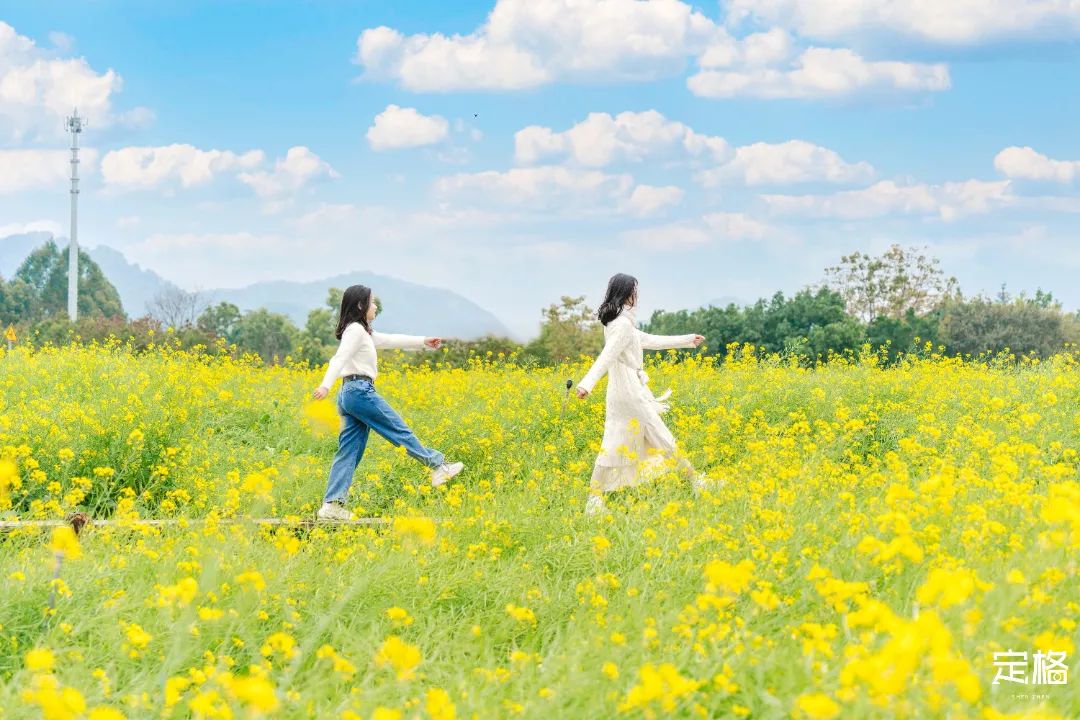 深圳最好玩的十个地方,深圳光明小镇欢乐田园好玩吗
