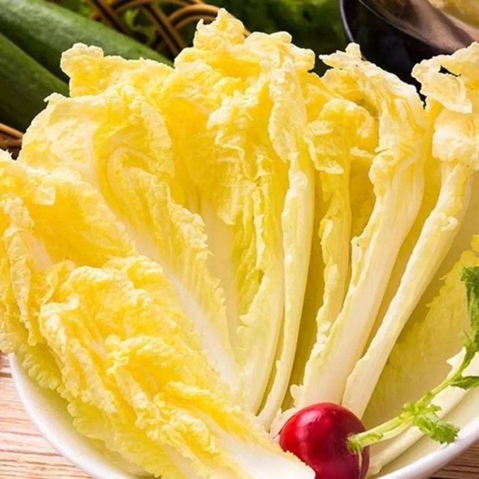 火锅素菜之王,火锅中的素菜之王