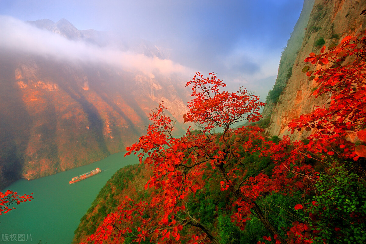 治理自媒体乱象要斩断利益链,重拳整治网络自媒体乱象