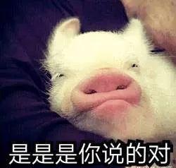 男子被骗传销还是被抓回去,男子被骗传销遇到警察