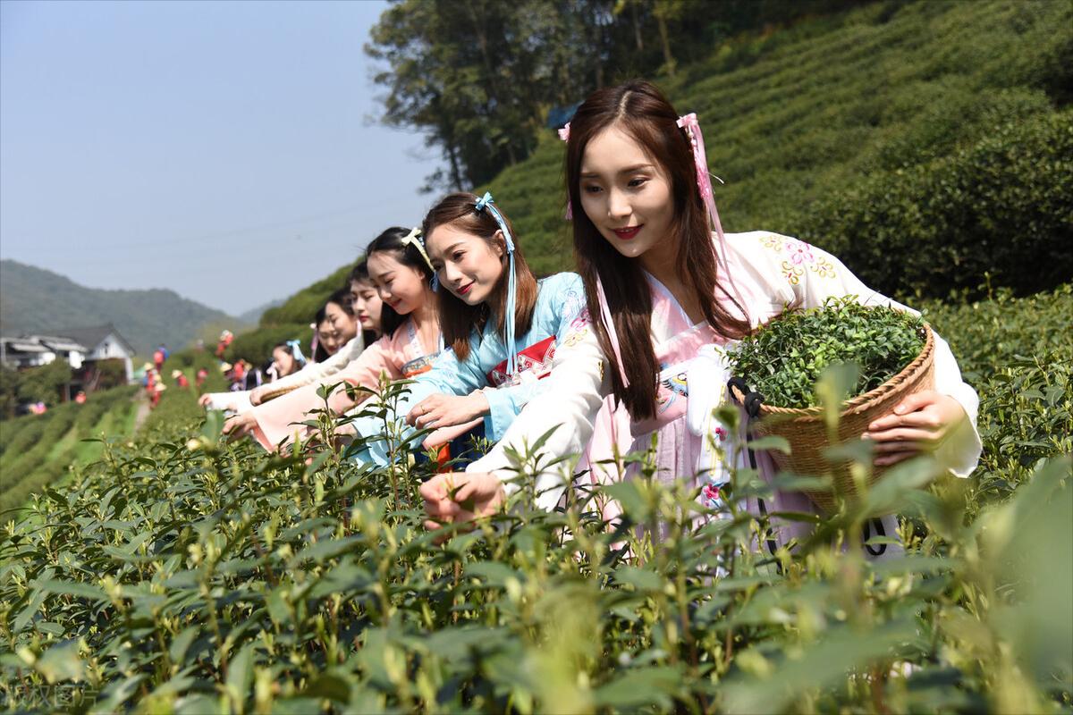 老话说:清明上坟3忌3做,子孙平安无忧无灾祸,3忌3做啥意思?