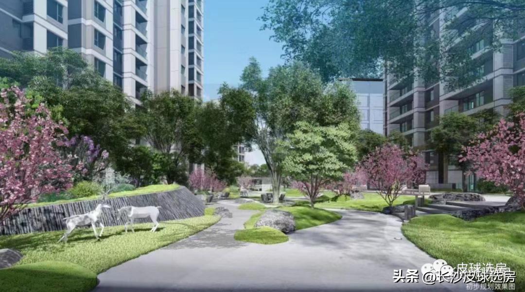 长沙招商滨江境优缺点,长沙招商蛇口的楼盘怎么样