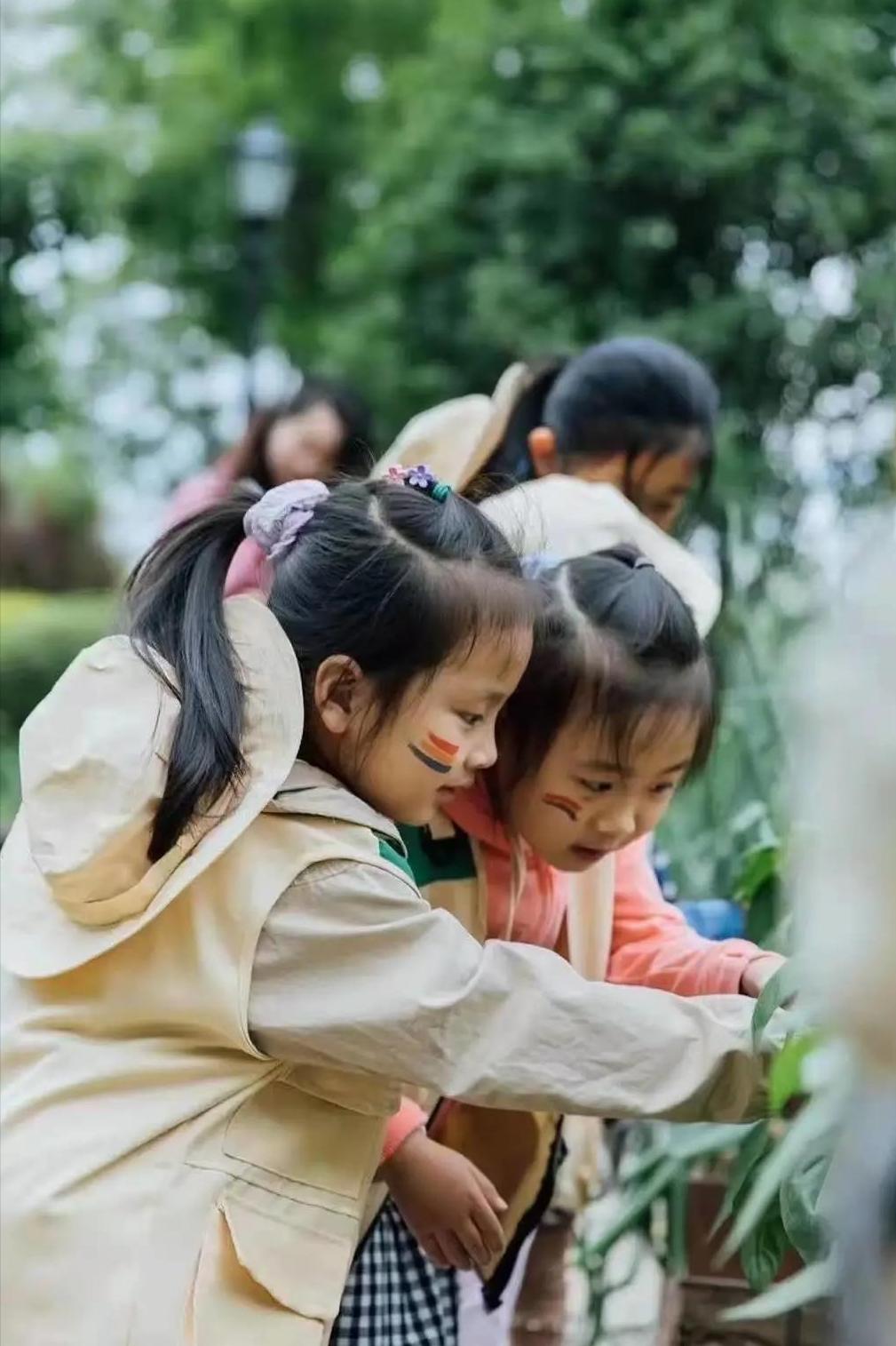 农场办抓鸡游戏3只鸡引百人追，入场费10元，“玩”出来的大财富