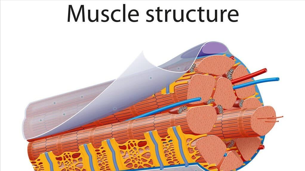 筋膜炎是一种伤不起的痛,有种疼叫筋膜炎