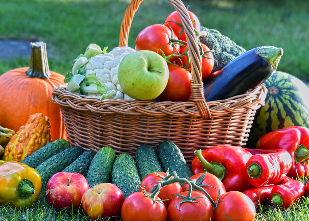 痘痘里面白色的是什么,显微镜下痘痘里面白色的米粒