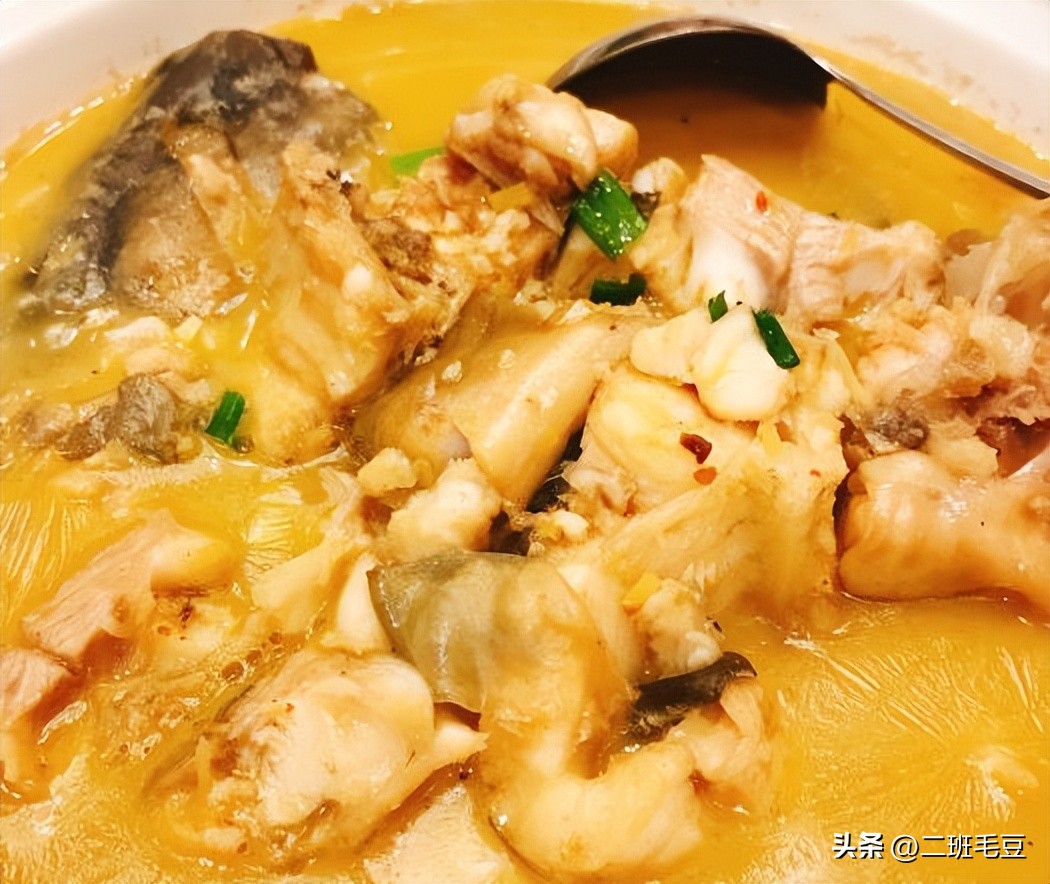 石首鮰鱼鱼肚,特色菜鮰鱼