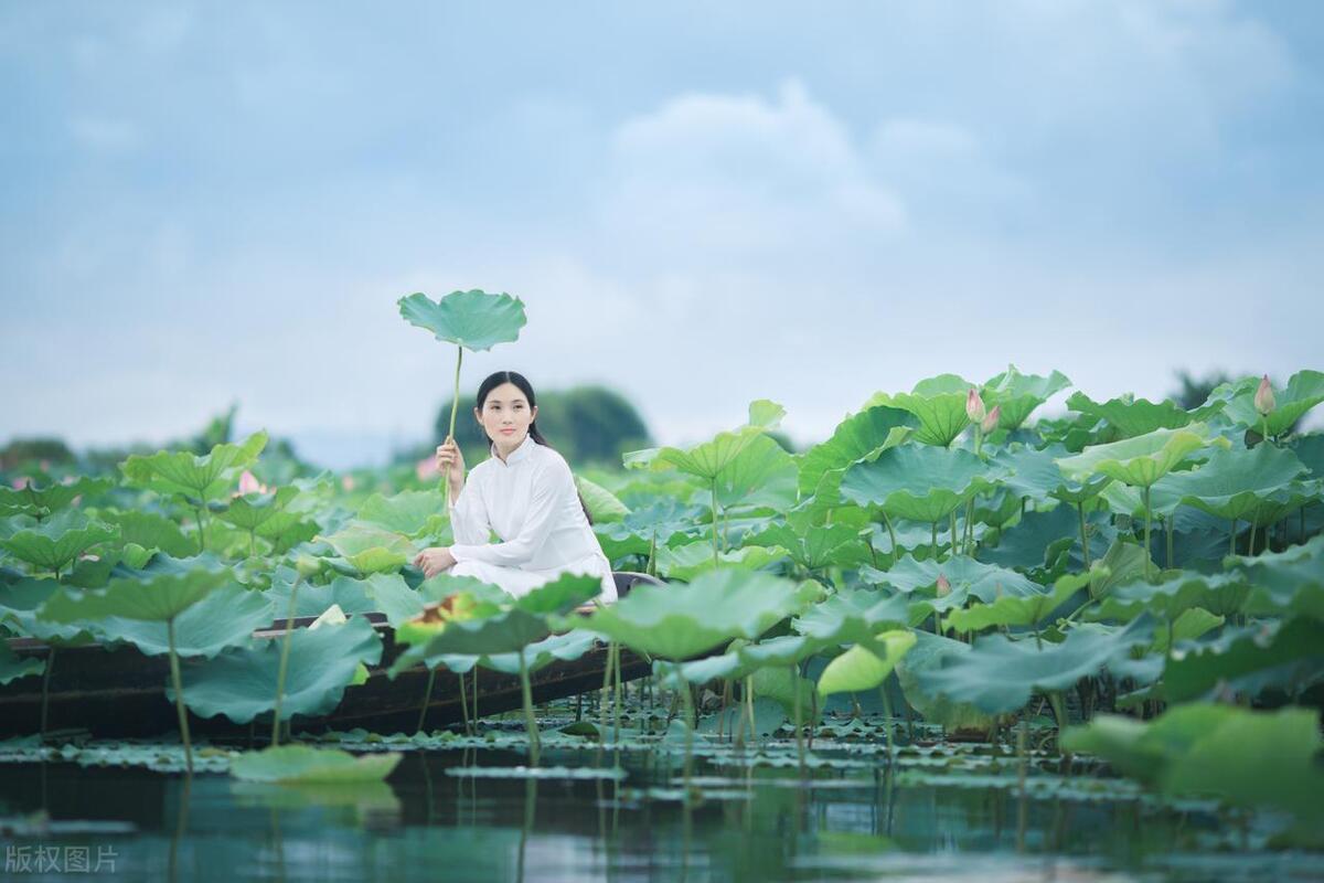 从广州佛山出发的旅游攻略,广州鹤山市旅游